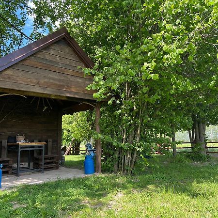 Zakatek Lipowy - Turystyka Stulichy Vila Węgorzewo Exterior foto