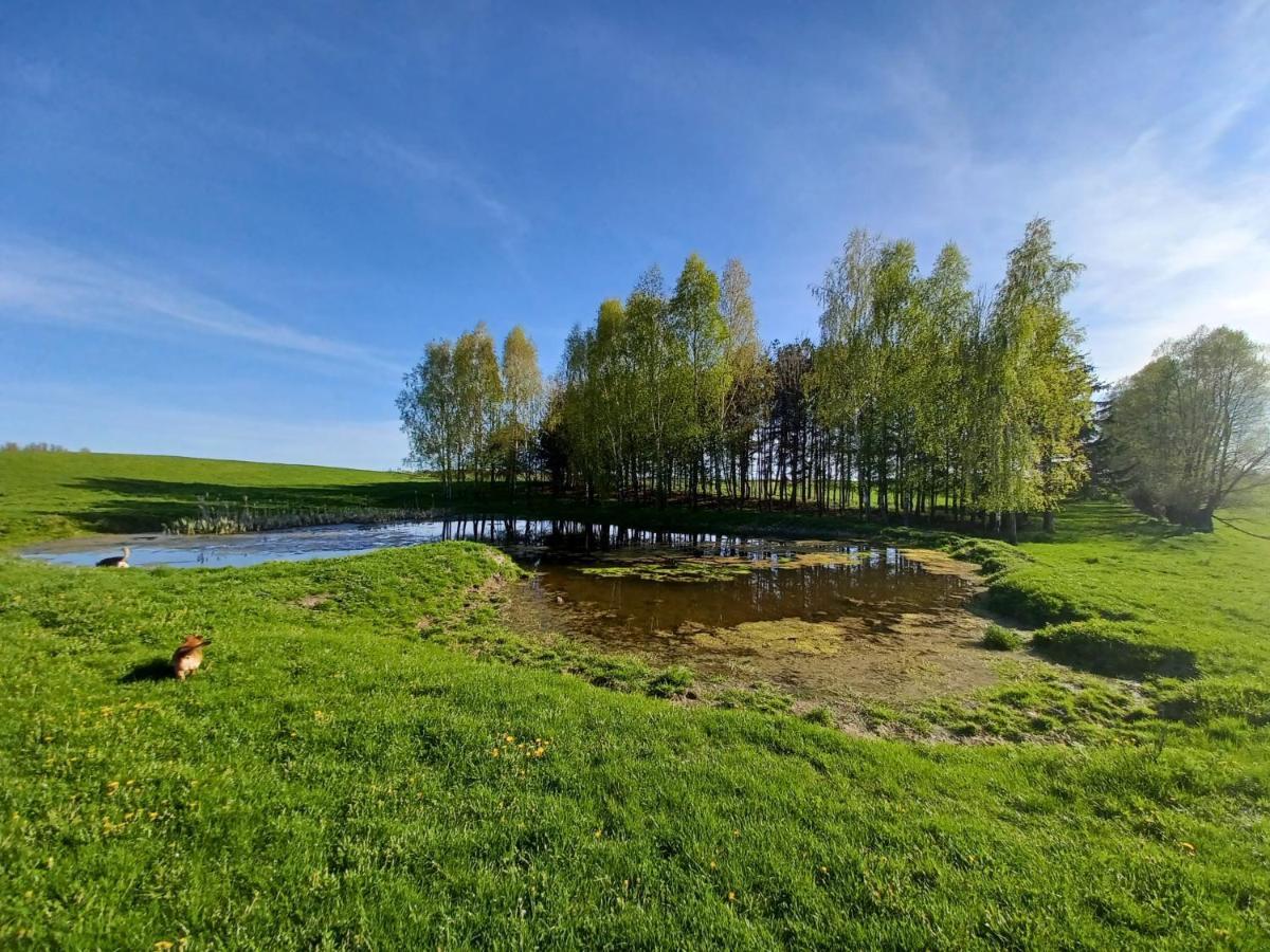 Zakatek Lipowy - Turystyka Stulichy Vila Węgorzewo Exterior foto