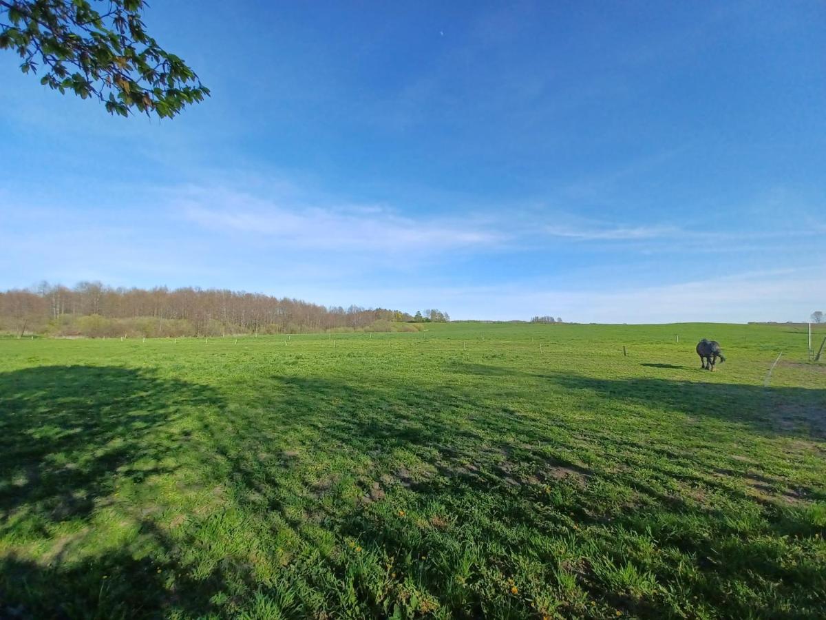 Zakatek Lipowy - Turystyka Stulichy Vila Węgorzewo Exterior foto