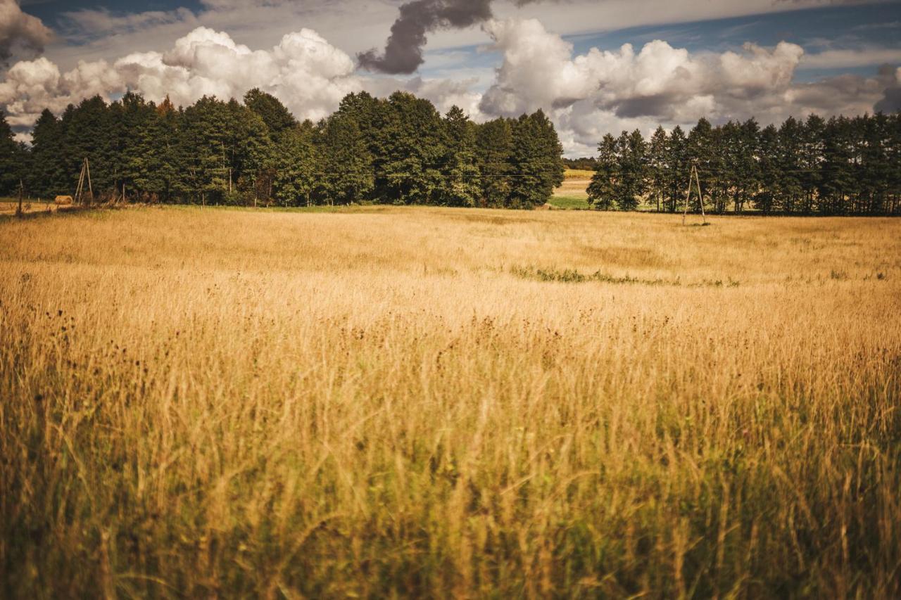 Zakatek Lipowy - Turystyka Stulichy Vila Węgorzewo Exterior foto